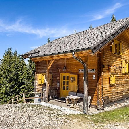 Вилла 1A Chalet Enzianhuette - Ski Fahren Und Indoor Sauna Elsenbrunn Экстерьер фото