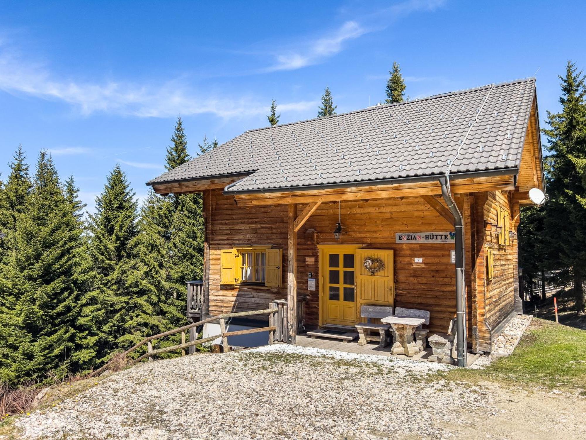 Вилла 1A Chalet Enzianhuette - Ski Fahren Und Indoor Sauna Elsenbrunn Экстерьер фото