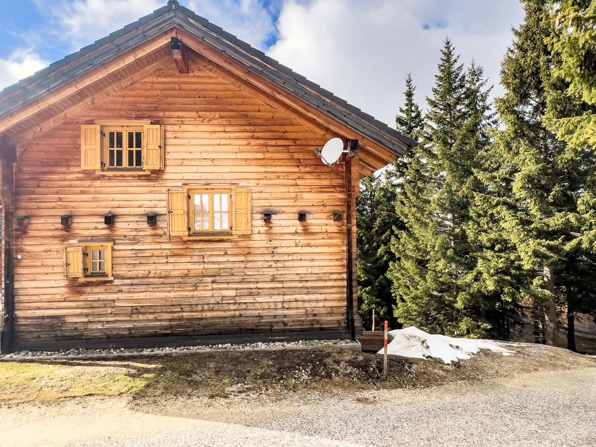 Вилла 1A Chalet Enzianhuette - Ski Fahren Und Indoor Sauna Elsenbrunn Экстерьер фото