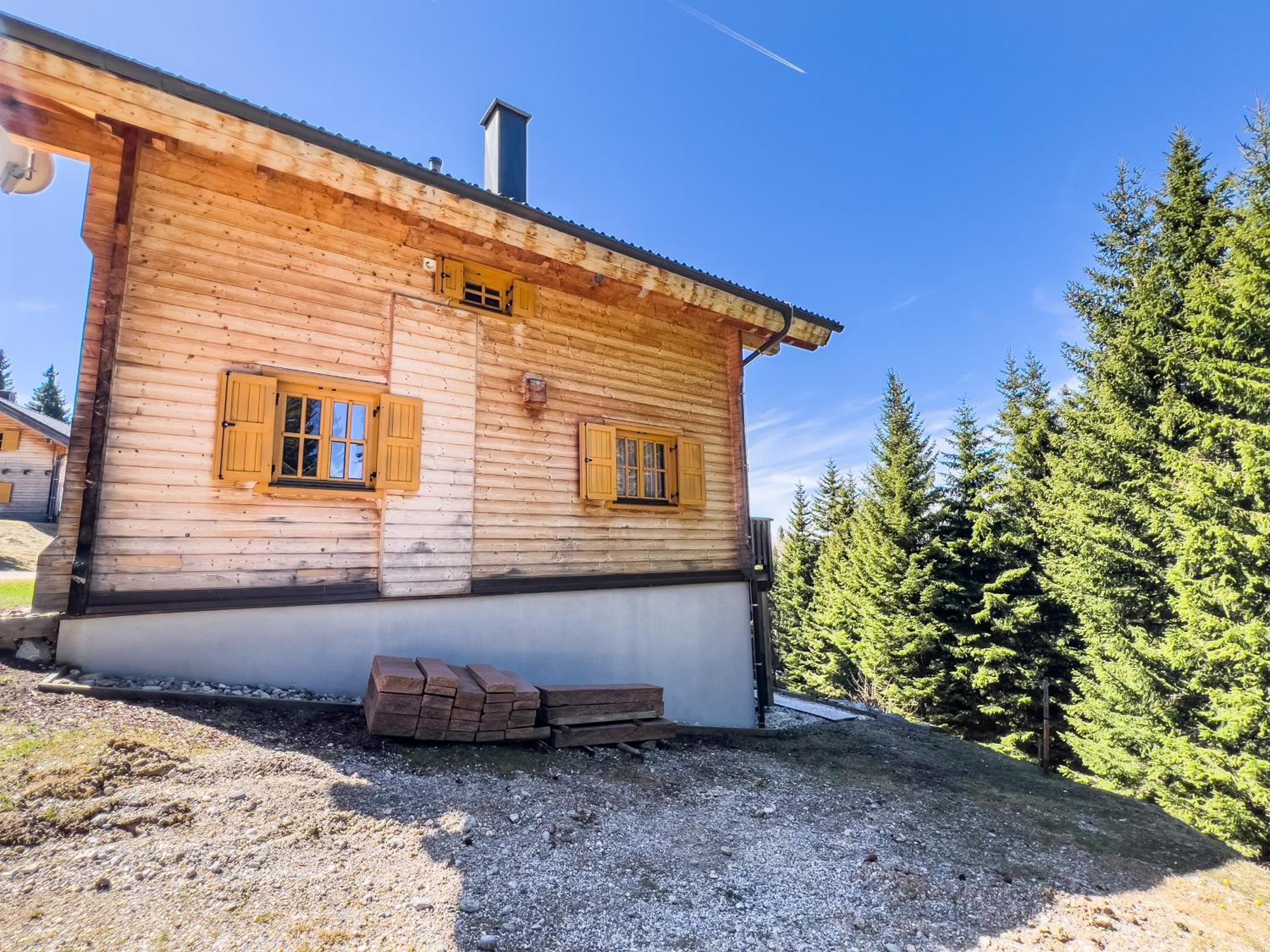 Вилла 1A Chalet Enzianhuette - Ski Fahren Und Indoor Sauna Elsenbrunn Экстерьер фото