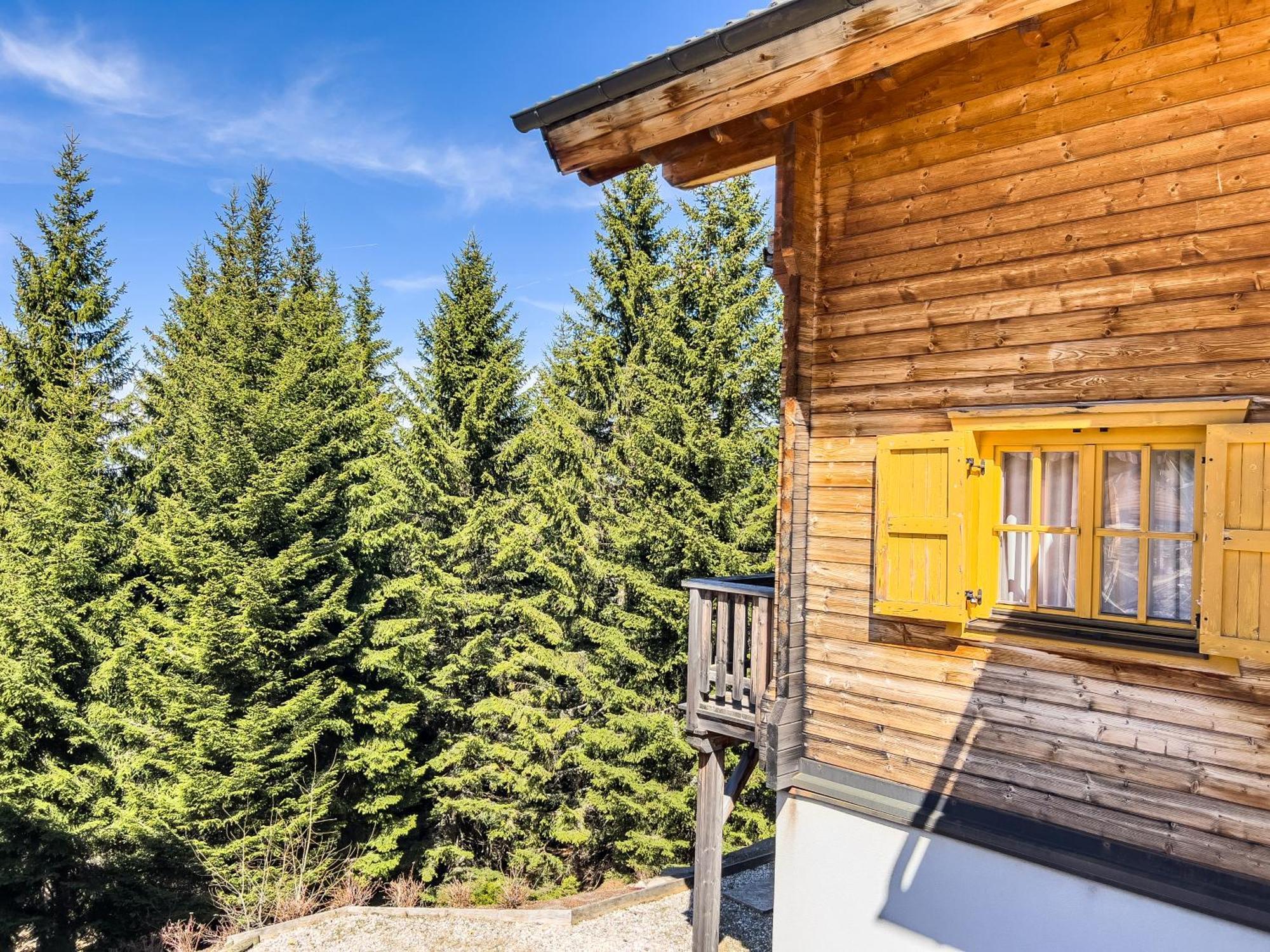 Вилла 1A Chalet Enzianhuette - Ski Fahren Und Indoor Sauna Elsenbrunn Экстерьер фото