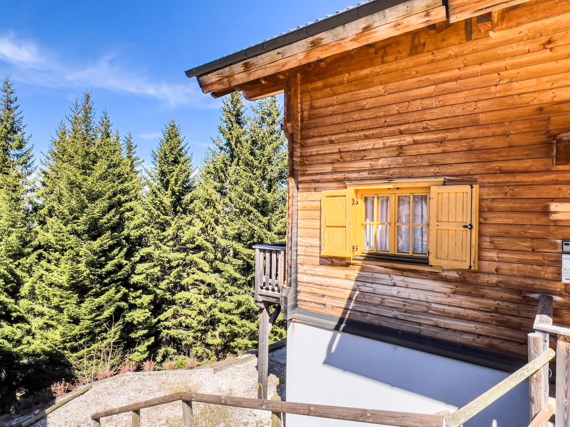 Вилла 1A Chalet Enzianhuette - Ski Fahren Und Indoor Sauna Elsenbrunn Экстерьер фото