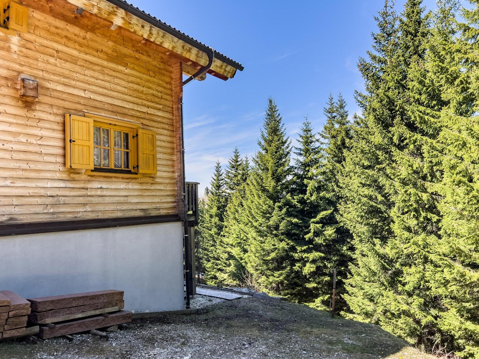 Вилла 1A Chalet Enzianhuette - Ski Fahren Und Indoor Sauna Elsenbrunn Экстерьер фото